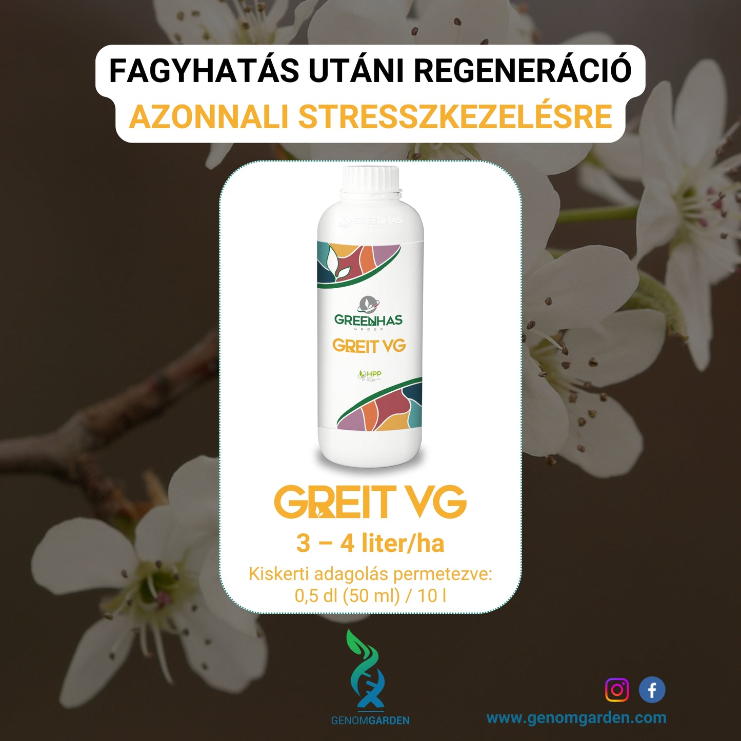 Fagyhatás utáni regeneráció