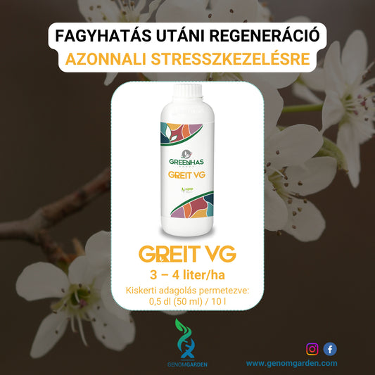 Fagyhatás utáni regeneráció